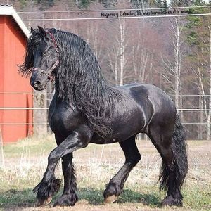 Meet your Posher, Alberto